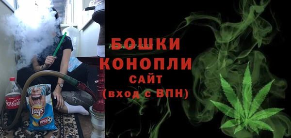 шишки Абаза