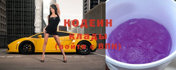 шишки Абаза