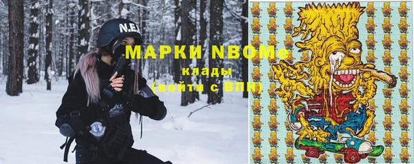 шишки Абаза