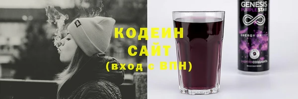 шишки Абаза