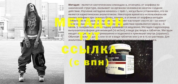 шишки Абаза