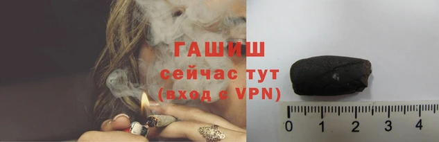 стаф Магас