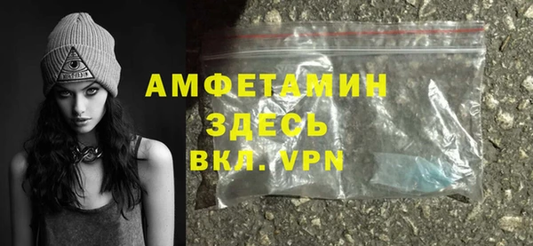 шишки Абаза