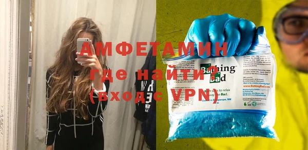 шишки Абаза