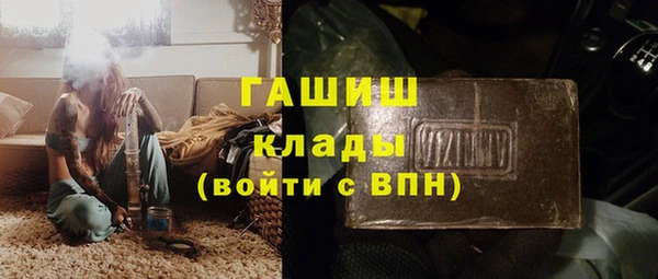 шишки Абаза