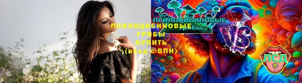 бошки Абинск