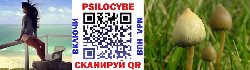 Галлюциногенные грибы Cubensis  закладки  Ильский 